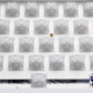 Snow Maiden Hall Effect Switch Dual-LED PC Top Housing — Compatible with Maisui / EV63 / EV64 Magnetic Keyboards