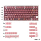 White/Red/Pink/Purple/Green Unmarked Top Frosted Transparent Keycaps