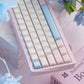White Peach Oolong/Sea Salt Vapor Translucent Keycaps