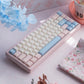 White Peach Oolong/Sea Salt Vapor Translucent Keycaps