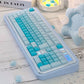 CSA Jelly Pudding Double-Shot Mechanical Keyboard Keycaps — ABS + PC | Foundation / Blueberry / Strawberry