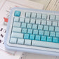 CSA Jelly Pudding Double-Shot Mechanical Keyboard Keycaps — ABS + PC | Foundation / Blueberry / Strawberry