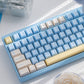 White Peach Oolong/Sea Salt Vapor Translucent Keycaps