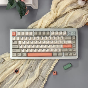 Two-Color 9009 Retro Mechanical Keyboard Keycaps — Cherry Profile