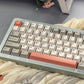 Two-Color 9009 Retro Mechanical Keyboard Keycaps — Cherry Profile
