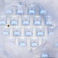 Snow Maiden Hall Effect Switch Dual-LED PC Top Housing — Compatible with Maisui / EV63 / EV64 Magnetic Keyboards