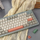 Two-Color 9009 Retro Mechanical Keyboard Keycaps — Cherry Profile