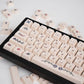 Voynich Manuscript Keycap