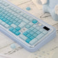 CSA Jelly Pudding Double-Shot Mechanical Keyboard Keycaps — ABS + PC | Foundation / Blueberry / Strawberry