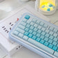 CSA Jelly Pudding Double-Shot Mechanical Keyboard Keycaps — ABS + PC | Foundation / Blueberry / Strawberry