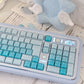 CSA Jelly Pudding Double-Shot Mechanical Keyboard Keycaps — ABS + PC | Foundation / Blueberry / Strawberry