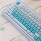 CSA Jelly Pudding Double-Shot Mechanical Keyboard Keycaps — ABS + PC | Foundation / Blueberry / Strawberry