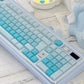 CSA Jelly Pudding Double-Shot Mechanical Keyboard Keycaps — ABS + PC | Foundation / Blueberry / Strawberry