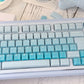 CSA Jelly Pudding Double-Shot Mechanical Keyboard Keycaps — ABS + PC | Foundation / Blueberry / Strawberry