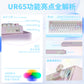 UR65 Multi-Theme Hifi Gasket Mechanical Keyboard | Triple-Mode