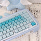 CSA Jelly Pudding Double-Shot Mechanical Keyboard Keycaps — ABS + PC | Foundation / Blueberry / Strawberry