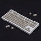 Aifei icon Gray Keycaps