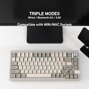 CIDOO V75 IBM Finalkey Mechanical Keyboard