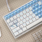 Rei Ayanami Edition Mechanical Keyboard Keycaps — Cherry Profile | Standard Legends + Light Blue PC Novelty Set