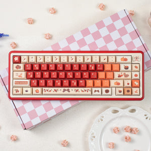 UR65 Multi-Theme Hifi Gasket Mechanical Keyboard | Triple-Mode