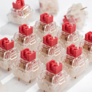 TTC Silent Red Switches V3