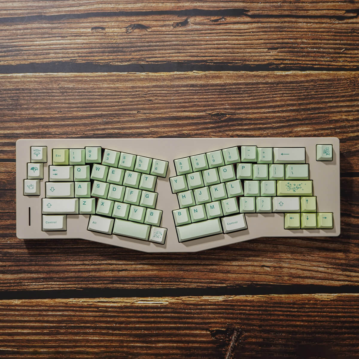 Ginkgo Keycaps